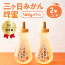 【ふるさと納税】三ヶ日みかん蜂蜜450gボトル 2本セット はちみつ 蜂蜜 ハチミツ みかん みかん蜂蜜 フルーティー さっぱり 上品 ミツバチ 純粋はちみつ 長坂養蜂場 国産 静岡 浜松市 三ヶ日町