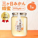 【ふるさと納税】三ヶ日みかん蜂蜜850g はちみつ 蜂蜜 ハチミツ みかん みかん蜂蜜 フルーティー さっぱり 上品 ミツバチ 純粋はちみつ 長坂養蜂場 国産 静岡 浜松市 三ヶ日町