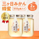 【ふるさと納税】三ヶ日みかん蜂蜜850g 2本セット はちみつ 蜂蜜 ハチミツ みかん みかん蜂蜜 フルーティー さっぱり 上品 ミツバチ 純粋はちみつ 長坂養蜂場 国産 静岡 浜松市 三ヶ日町