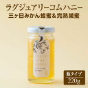 【ふるさと納税】ラグジュアリーコムハニー三ヶ日みかん蜂蜜&完熟巣蜜 三ヶ日みかん はちみつ 蜂蜜 巣蜜 瓶タイプ ミツバチ 巣のまま 爽やか 柑橘系 上品 贈り物 パーティー ご褒美 国産 静岡 浜松市 三ヶ日町