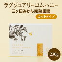 【ふるさと納税】ラグジュアリーコムハニー 三ヶ日みかん完熟巣蜜【カットタイプ】 はちみつ 蜂蜜 巣蜜 ミツバチ 巣のまま 柑橘系の香り 上品な甘さ 贈り物 国産 静岡 浜松市 三ヶ日町