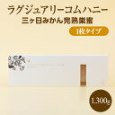 【ふるさと納税】ラグジュアリーコムハニー 三ヶ日みかん完熟巣蜜【1枚タイプ】 はちみつ 蜂蜜 巣蜜 ミツバチ 巣のまま 柑橘系の香り 上品な甘さ 贈り物 国産 静岡 浜松市 三ヶ日町