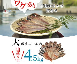 【ふるさと納税】 訳あり 干物 ひもの 4.5kg 大容量 おまかせ 詰め合わせ セット 本場沼津 規格外 不揃い 画像2