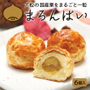 返礼品説明 名称 【ふるさと納税】まろんぱい6個入り 内容量 6個 最終加工地 沼津市 養殖・解凍の別 記載事項特になし 消費期限 常温で12日 記載されておりますラベルをご確認ください 保存方法 常温 加工業者名 株式会社　雅心苑 静岡県沼津市足高292‐23 返礼品説明 甘露煮にした大粒の国産の栗が丸ごと一粒、白餡に生クリームを合わせた「クリーム餡」で包み、その周囲をパイ生地で包んで焼き上げました パイ生地には国産小麦を使用。 贅沢でいながら、安全性にも配慮した材料でお作りしたとても豪華な味の欧風和菓子です。 お土産やギフトなどにもおすすめです ※原材料価格高騰の為寄付金額を10,000円→11,000円に変更致します。 提供事業者：雅心苑 配送について 入金確認後1週間程度で発送致します。