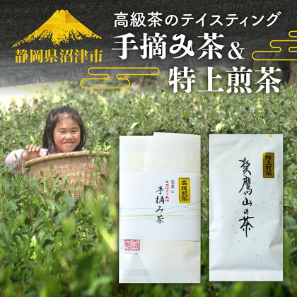 高級茶のテイスティング