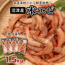  エビ 海老 1.5kg 500g×3 駿河湾Mサイズ 本えび 希少 国産 小分け 冷凍