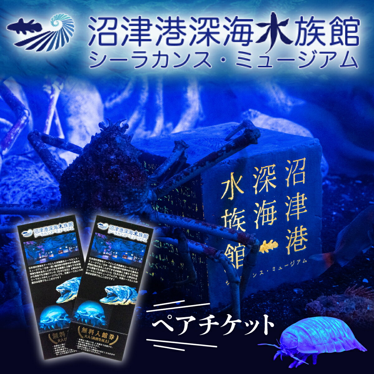 【ふるさと納税】 深海 水族館 ペアチケット 2...の商品画像