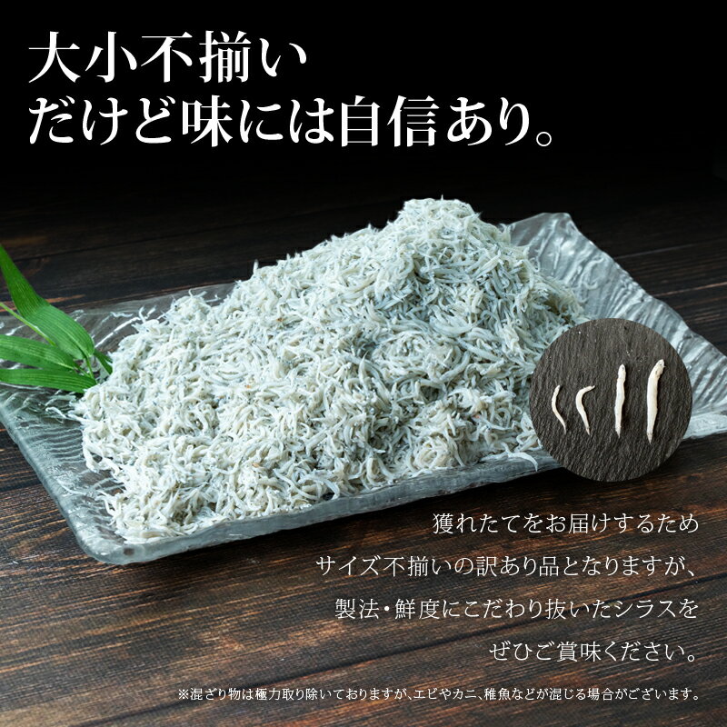 【ふるさと納税】 訳あり 釜揚げしらす 1kg たっぷり 冷凍 小分け パック 500g 2パック 駿河湾