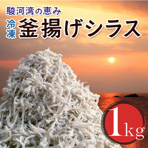 1位! 口コミ数「18件」評価「4.61」 訳あり 釜揚げしらす 1kg たっぷり 冷凍 小分け パック 500g 2パック 駿河湾