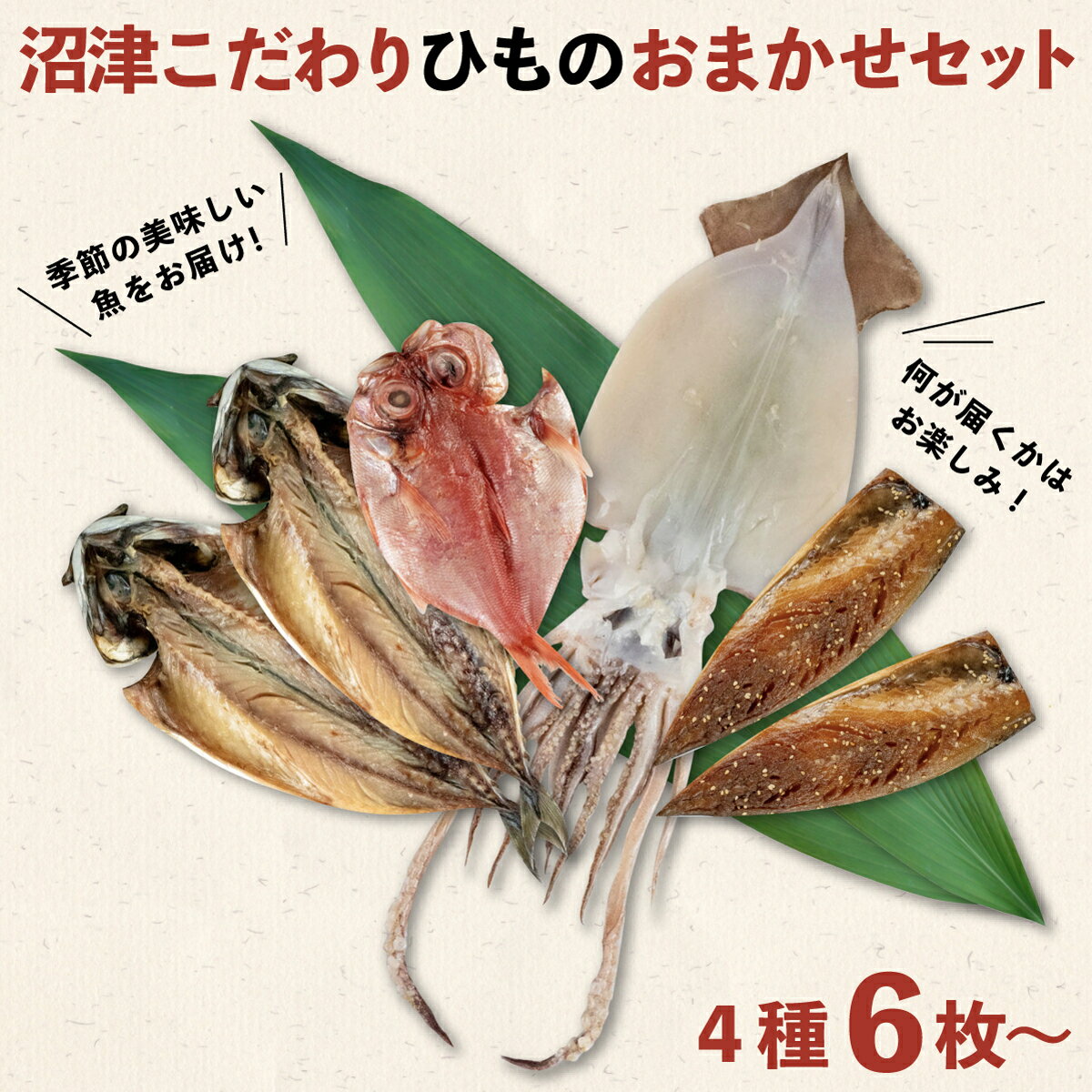 干物 魚 おまかせ こだわり 4種 6枚 大容量 セット 沼津 送料無料