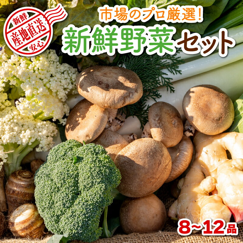 【ふるさと納税】 野菜 詰め合わせ 8~12品 セット おまかせ 産地直送 静岡県産 新鮮 プロ厳選 国産のサムネイル