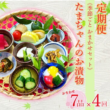 【ふるさと納税】 定期便 年4回 漬物 ビール漬 季節野菜 7品 おまかせ沼津 セット 小分け