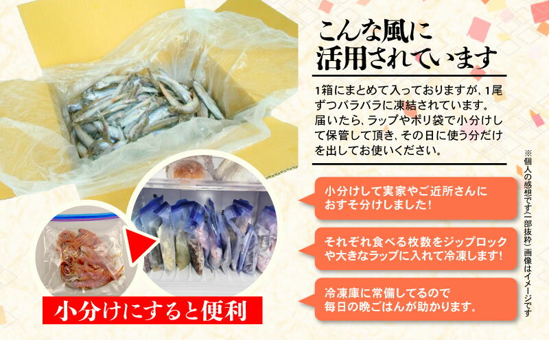 【ふるさと納税】 訳あり ししゃも 3kg カラフト 丸干し 干物 ひもの セット 冷凍