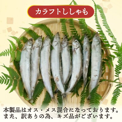 【ふるさと納税】 訳あり ししゃも 1~3kg カラフト 丸干し 干物 ひもの セット 冷凍 沼津 静岡 選べる 魚 海鮮 シシャモ 柳葉魚 魚介 惣菜 子持ち グルメ 食べ物 人気 ランキング 冷凍 - Image 3