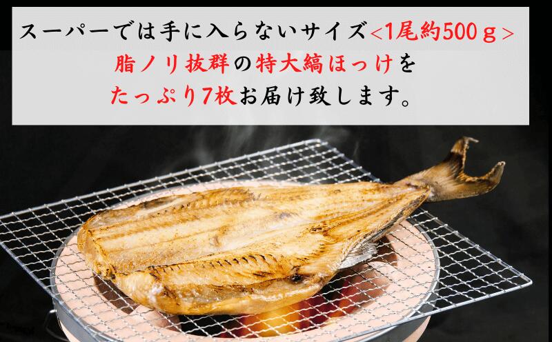 【ふるさと納税】 干物 ひもの 魚 シマホッケ 縞ホッケ 特大 7枚 セット 地物