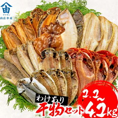 【ふるさと納税】 訳あり 干物 2.2~4.2kg おまかせ 詰め合わせ セット ホッケ 金目鯛 アジ サバ カレイ 赤魚 醤油干し フィレ 冷凍 ひもの 規格外 不揃い 沼津 配送不可地域 あり