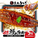 7位! 口コミ数「258件」評価「4.61」 うなぎ 蒲焼 国産 鰻 たっぷり 5尾 約500g 肝 佃煮 おまけ付き ギフトボックス セット 老舗 専門店 うなぎ処京丸 うな丼 うな･･･ 