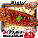 【ふるさと納税】 定期便 6ヶ月 連続 鰻 うなぎ 5尾 肝 佃煮 おまけ付き ギフト セット 蒲焼 国産 うな丼 うな重 ひつまぶし