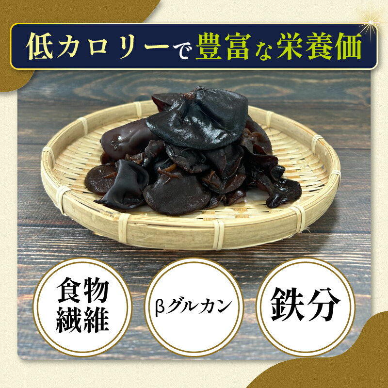 【朝市場直行】ごぼう　1本　約250g【冷蔵】