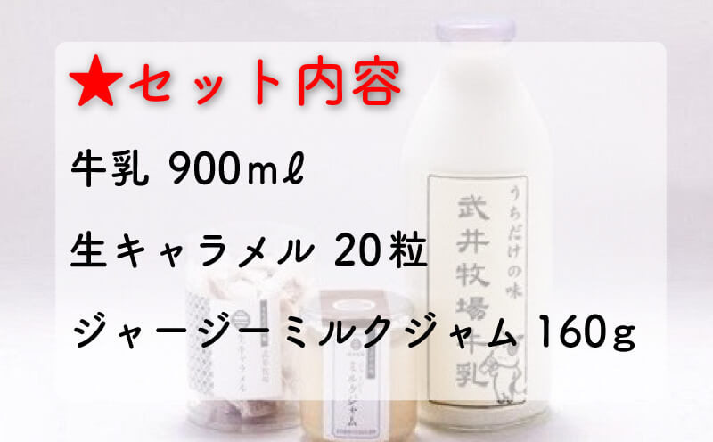 【ふるさと納税】 うちだけの味武井牧場セット