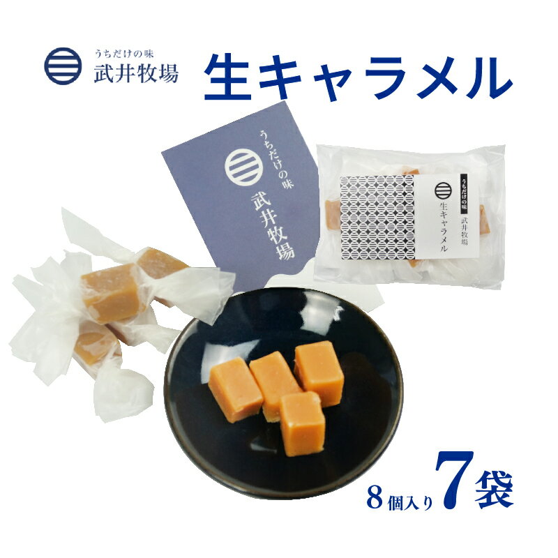 【ふるさと納税】 生キャラメル 8個入り 7袋 うちだけの味 武井牧場 キャラメル お土産 プレゼント ギフト 贈答 お取り寄せ スイーツ お菓子 デザート 静岡県 沼津市
