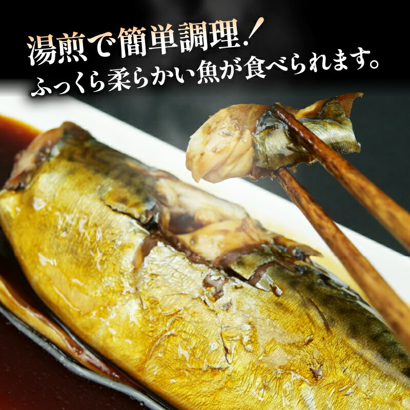 【ふるさと納税】 骨ごと 食べられる 煮魚 3 種 いか煮 肝入り 1 杯 冷凍 湯煎 温めるだけ 特製 サバ さんま イワシ イカ 静岡県 沼津市