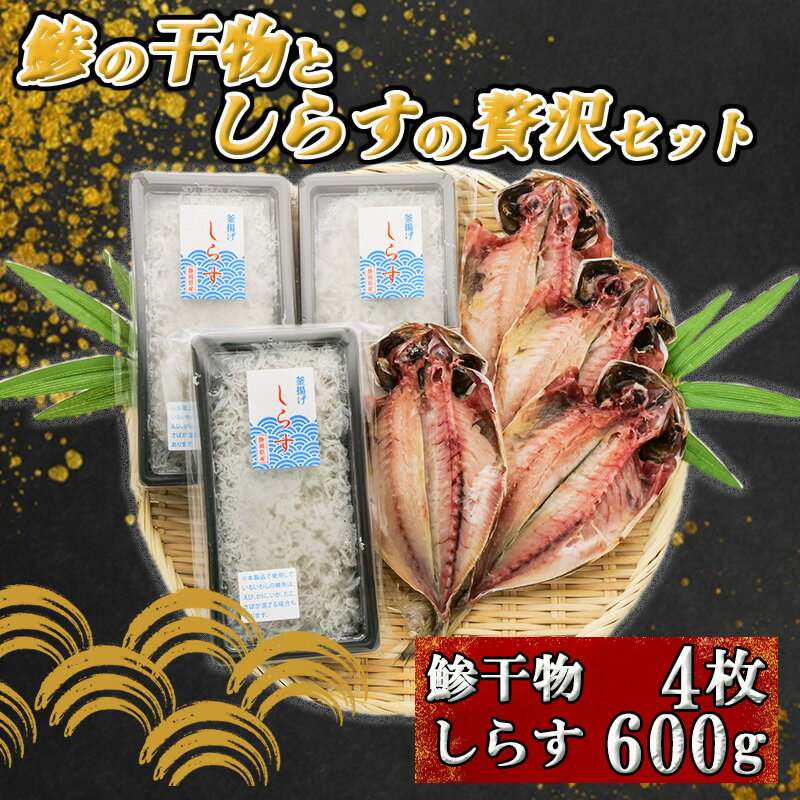 アジ 干物 4枚 釜揚げ しらす 200g 3個 600g セット