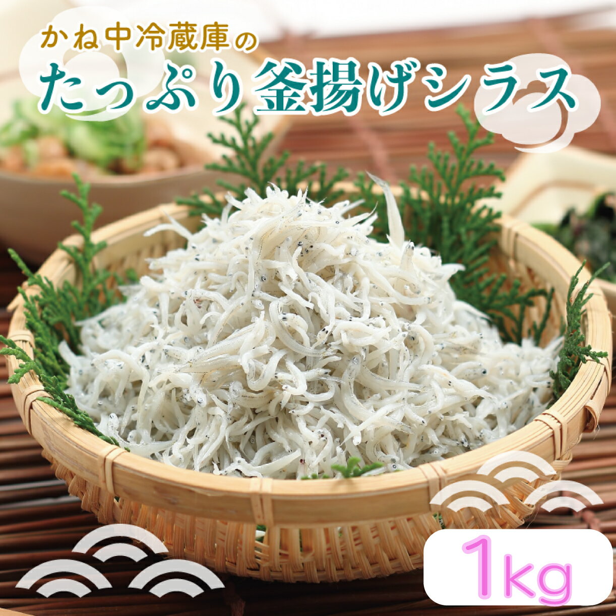 【ふるさと納税】 しらす たっぷり 釜揚げシラス 1kg 天