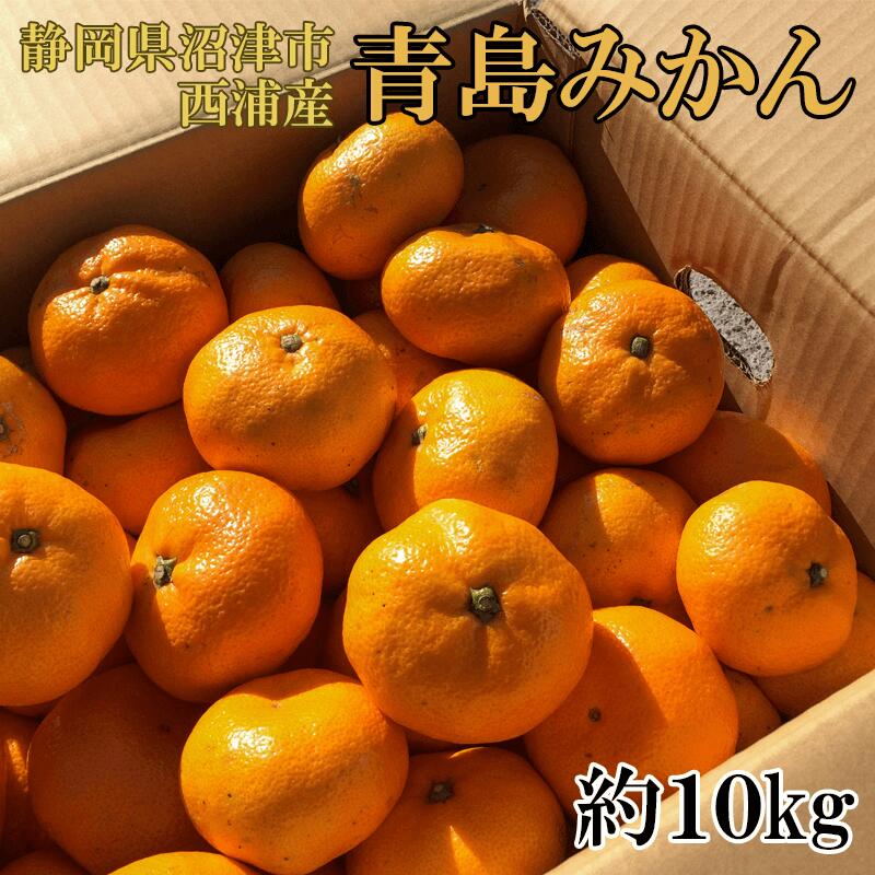 【ふるさと納税】 みかん 10kg 訳あり 西浦 青島みかん 産地直送 静岡 柑橘 ミカン フルーツ 果物 甘い 贈答用 ギフト 贈り物 おやつ デザート ジュース 果汁 ビタミンC 国産 産直 旬 季節 冬 特産品 沼津市 静岡県のサムネイル