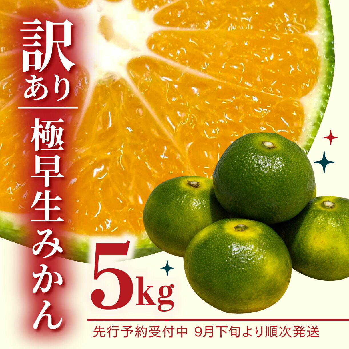 【ふるさと納税】 みかん 極早生みかん 約 5kg ご家庭用 産地直送 サイズ不揃い 大小混合 西浦のサムネイル