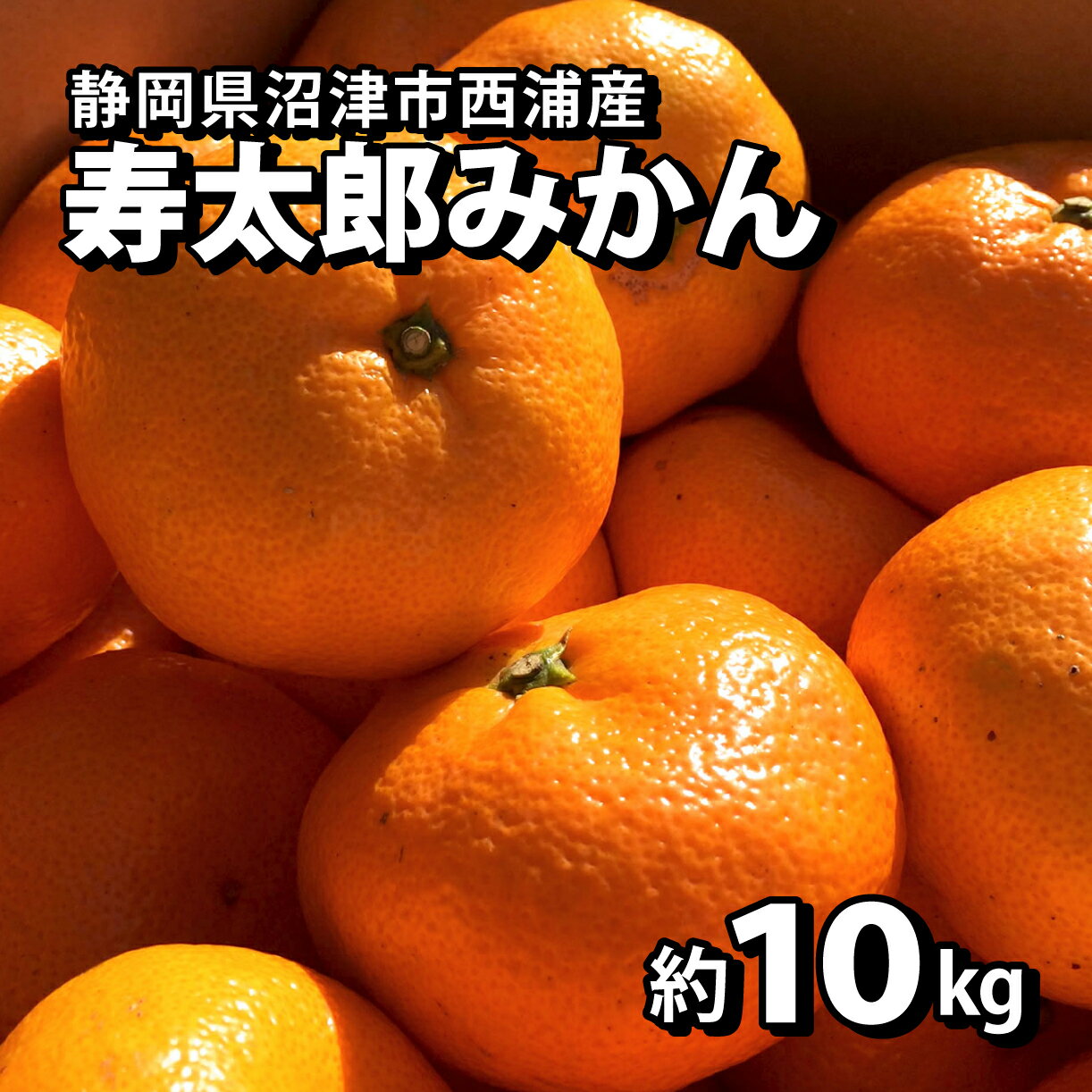 【ふるさと納税】 静岡県沼津市西浦産 寿太郎みかん 約10kg ご家庭用 訳あり サイズ不揃いのサムネイル