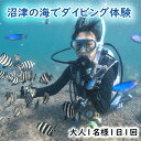 ダイビング体験チケット 【ふるさと納税】 ダイビング 体験チケット 大人 1名 1回 機材レンタル 指導 静岡