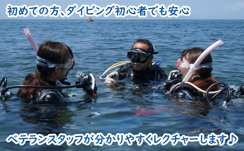 【ふるさと納税】 ダイビング 体験チケット 大人 1名 1回 機材レンタル 指導 静岡