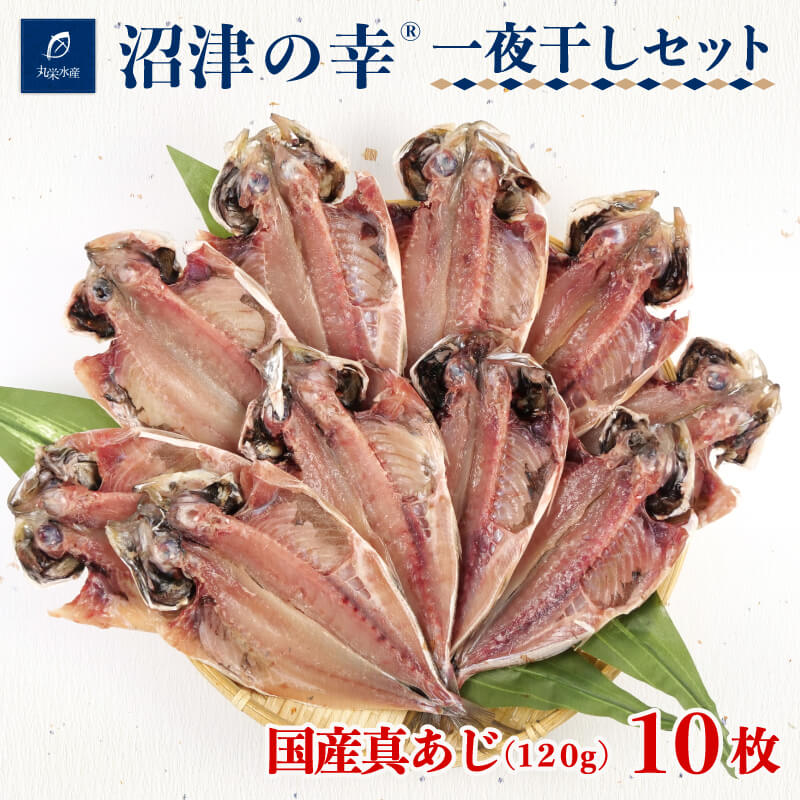 7位! 口コミ数「0件」評価「0」 干物 魚 一夜干し 沼津の幸 真あじ 120g 10枚 セット 真鯵 (A)