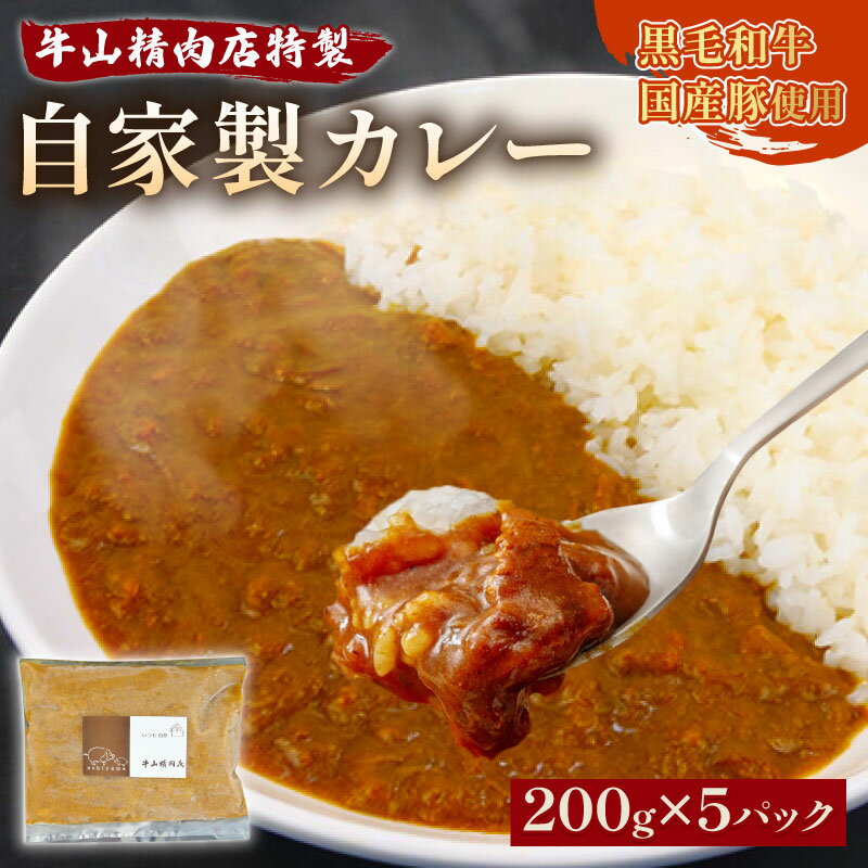 自家製 カレー 200g×5パック 1kg 黒毛和牛 牛肉 国産豚 個包装 湯煎可 温めるだけ 簡単 レンジ 牛山精肉店 特製 手作り セット 沼津 静岡