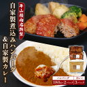 【ふるさと納税】 自家製 煮込み ハンバーグ 2個入り 180g ×2パック カレー 200g ×3パック セット 国産牛 牛肉 国産豚 個包装 湯煎 レ..