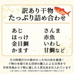 【ふるさと納税】 訳あり 干物 魚 おまかせ 4kg 詰め合わせ 大容量 ひもの 沼津 画像2