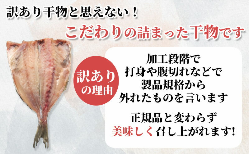 【ふるさと納税】 訳あり あじ 鯵 干物 ひもの 40枚 炭室熟成 あじの開き 頭なし 規格外 不揃い