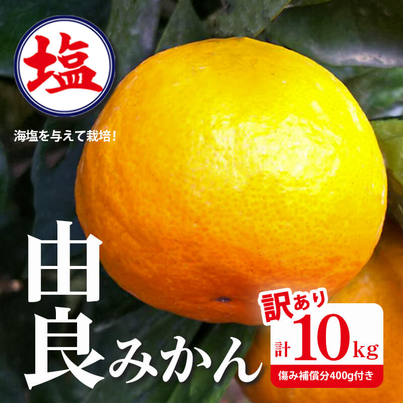 【ふるさと納税】 予約受付 訳あり みかん 由良 計 10kg 以上 傷み補償分400g付き 西浦 蜜柑 柑橘 オレンジ