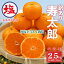 【ふるさと納税】 海塩を与えて栽培した 寿太郎 訳あり みかん 計 2.5kg 以上 傷み補償分 200g付き 蜜柑 柑橘 オレンジ 果物 フルーツ 沼津市 静岡県 5,000円