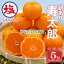 【ふるさと納税】 海塩を与えて栽培した 寿太郎 訳あり みかん 計 5kg 以上 傷み補償分 200g付き 蜜柑 柑橘 オレンジ 果物 フルーツ 沼津市 静岡県 10,000円