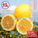 【ふるさと納税】 国産 レモン 選べる 容量 計 3kg 〜 5kg 海塩を与えて栽培 国産レモン れもん 国産 檸檬 予約受付 3月上中旬 順次発送 訳あり ...