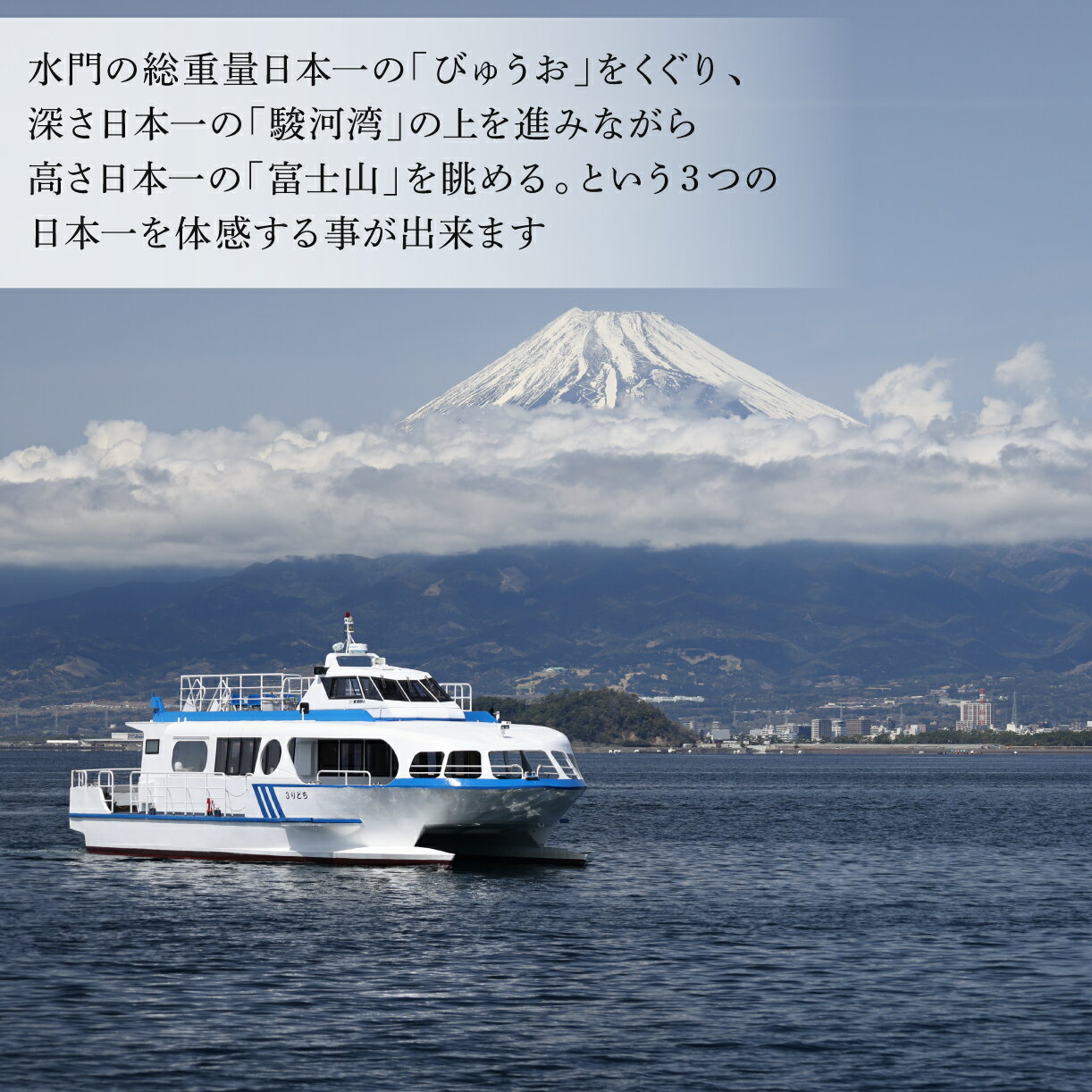 【ふるさと納税】 沼津港 遊覧クルーズ 乗船チケット 1枚 駿河湾 富士山