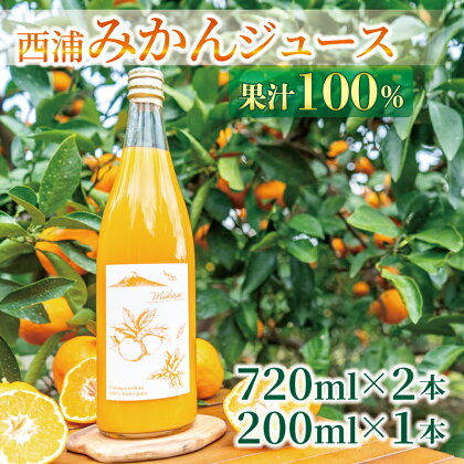 果汁100％ みかん ジュース 720ml×2本 200ml×1本 西浦 オレンジ 飲み物 静岡 沼津