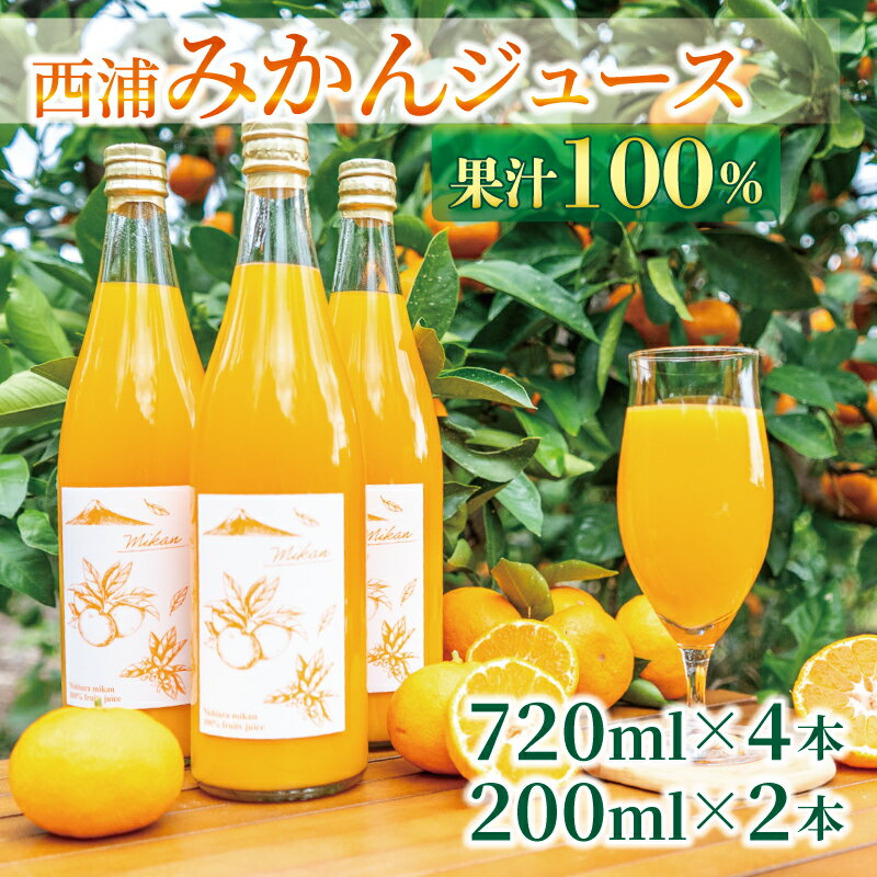 【ふるさと納税】 果汁100％ みかん ジュース 720ml