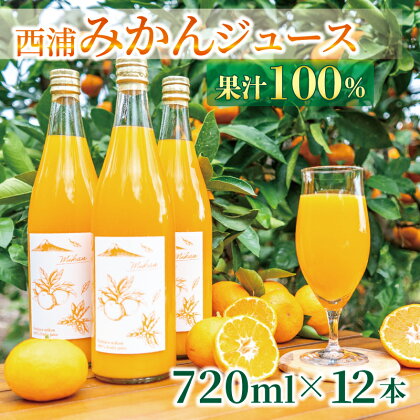 果汁100％ みかんジュース 720ml×12本 西浦 オレンジ 飲み物 静岡 沼津