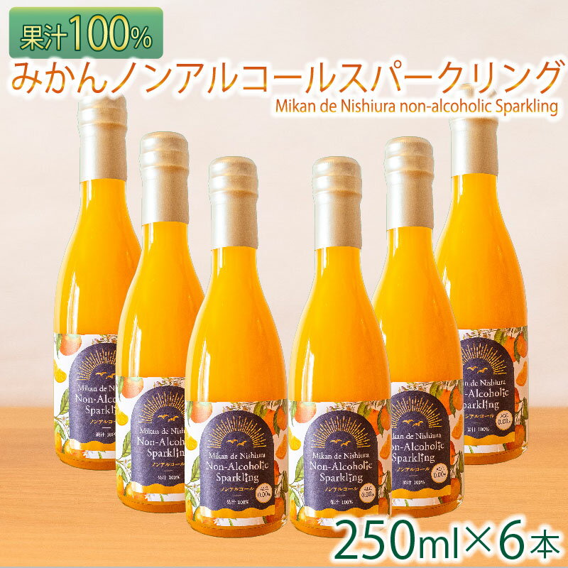 【ふるさと納税】 果汁 100％ みかん スパークリング ドリンク 250ml × 6本 ジュース 炭酸 飲料 西浦 オレンジ 飲み物 静岡 沼津