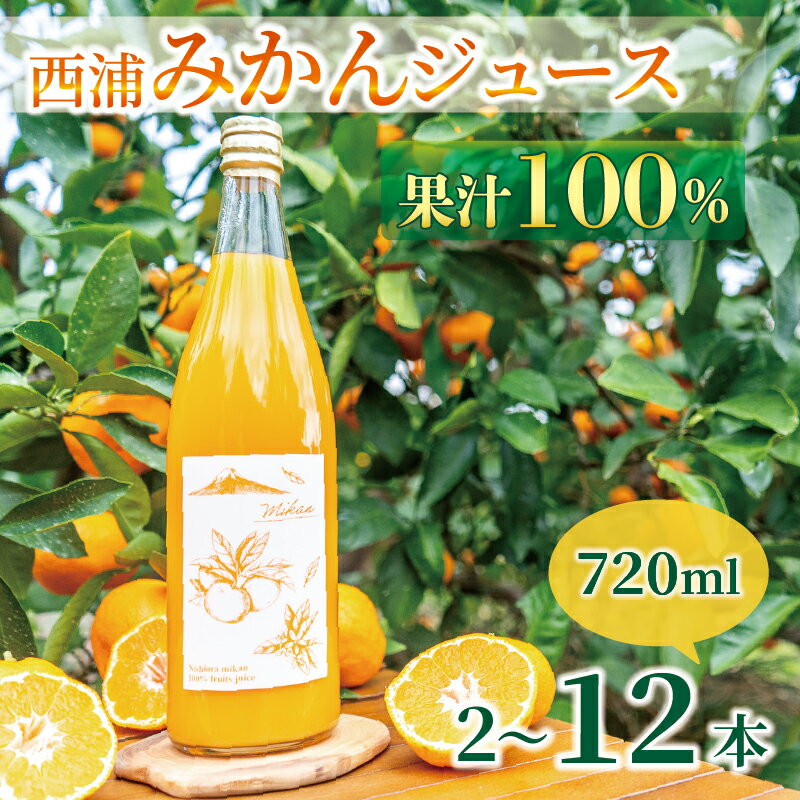 果汁100% みかん ジュース 720ml 2~12本 西浦 オレンジ 飲み物 静岡 沼津 2025年2月以降順次発送