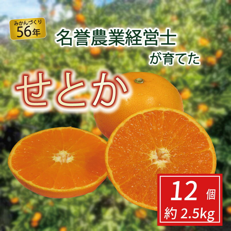 L玉せとか6Kg　限定販売・専用ページ不可！　減農薬栽培・ジューシー美味 せとかの商品一覧｜通販・お取り寄せ・販売【ぐるすぐり】