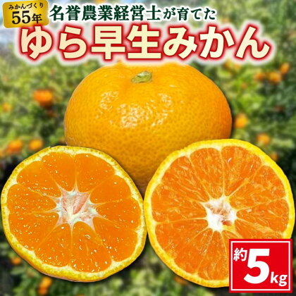 ゆら 早生 みかん 約 5kg 【 はら みかん 農園 】 柑橘 オレンジ 沼津 静岡 フルーツ 直送 数量 限定 【早期予約10月発送】